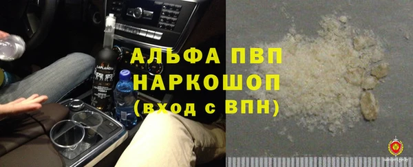 стафф Козельск