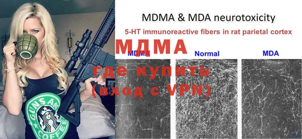 прущие грибы Сосновка