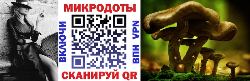 что такое наркотик  Димитровград  Галлюциногенные грибы прущие грибы 