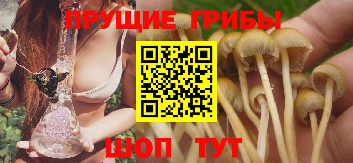 Димитровград  Галлюциногенные грибы ЛСД  Вход с VPN 